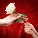 Flower Poem 4